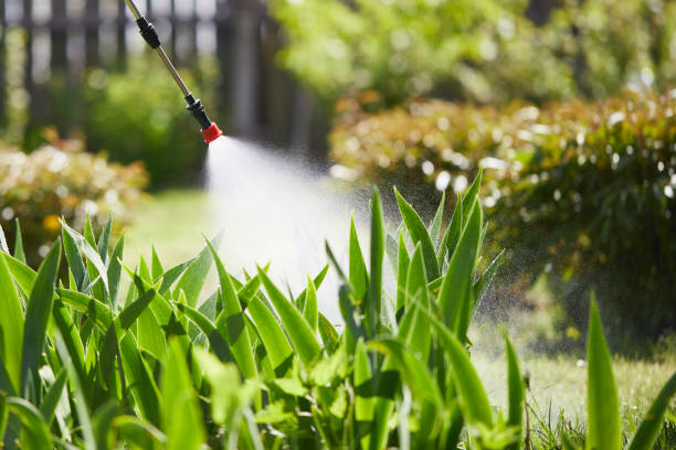 24/7 Emergency Wasp Removal experts in Neoga, IL